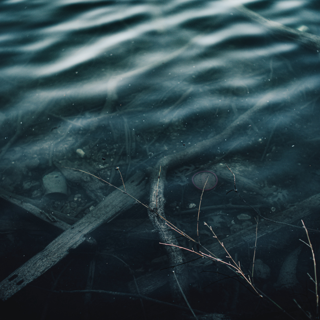 Close-up of frozen water with ice crystals and plant debris