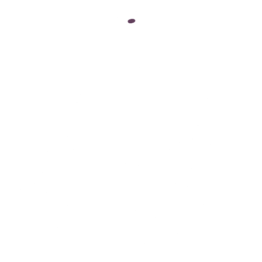 Small dark raven on a white background